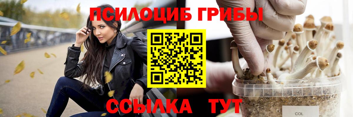 Псилоцибиновые грибы ЛСД Звенигород