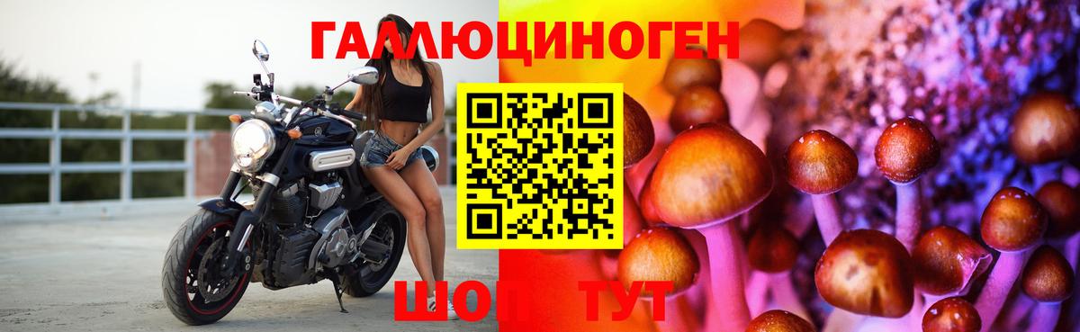 Галлюциногенные грибы Cubensis  Вход с VPN  Звенигород 