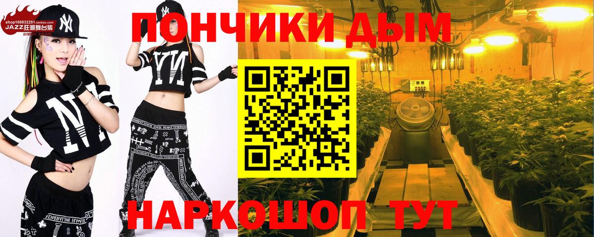 Каннабис конопля Звенигород